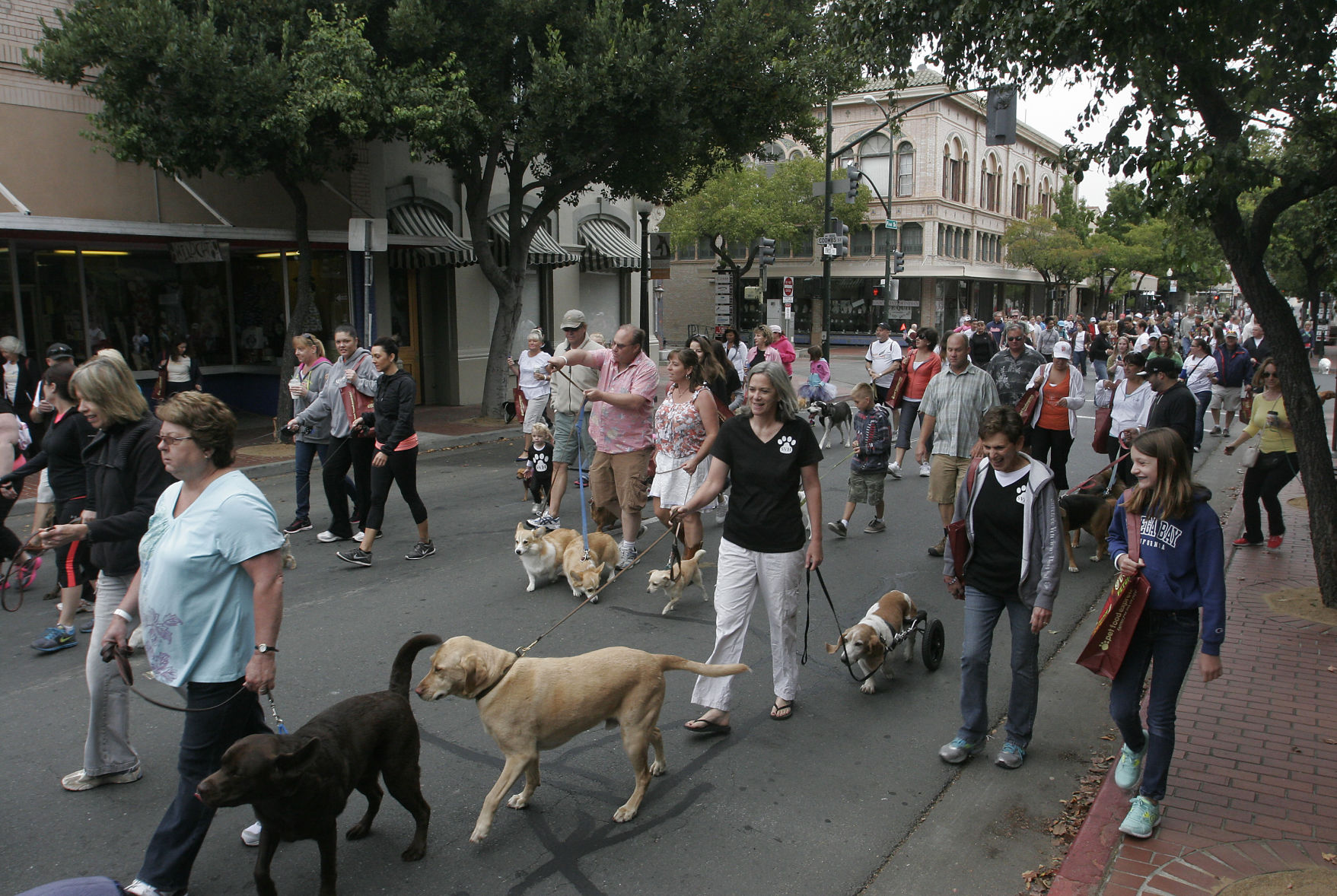Walk for Animals 2013
